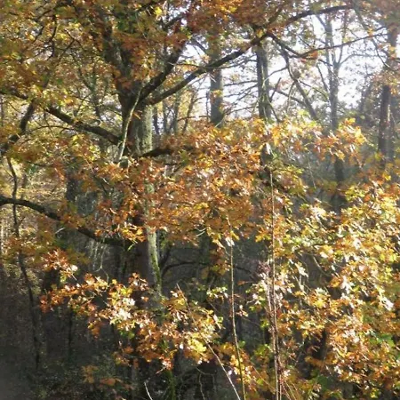 Holiday home De Charme En Pleine Nature Pour 6 Pers. Avec Cheminee, Jardin De 7000 M², Animaux Acceptes - Fr-1-489-5 Louroux-de-Bouble